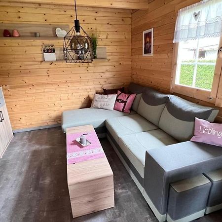 Villa Haeuslein-Waldesruh Muldenberg Esterno foto