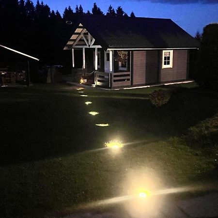 Villa Haeuslein-Waldesruh Muldenberg Esterno foto
